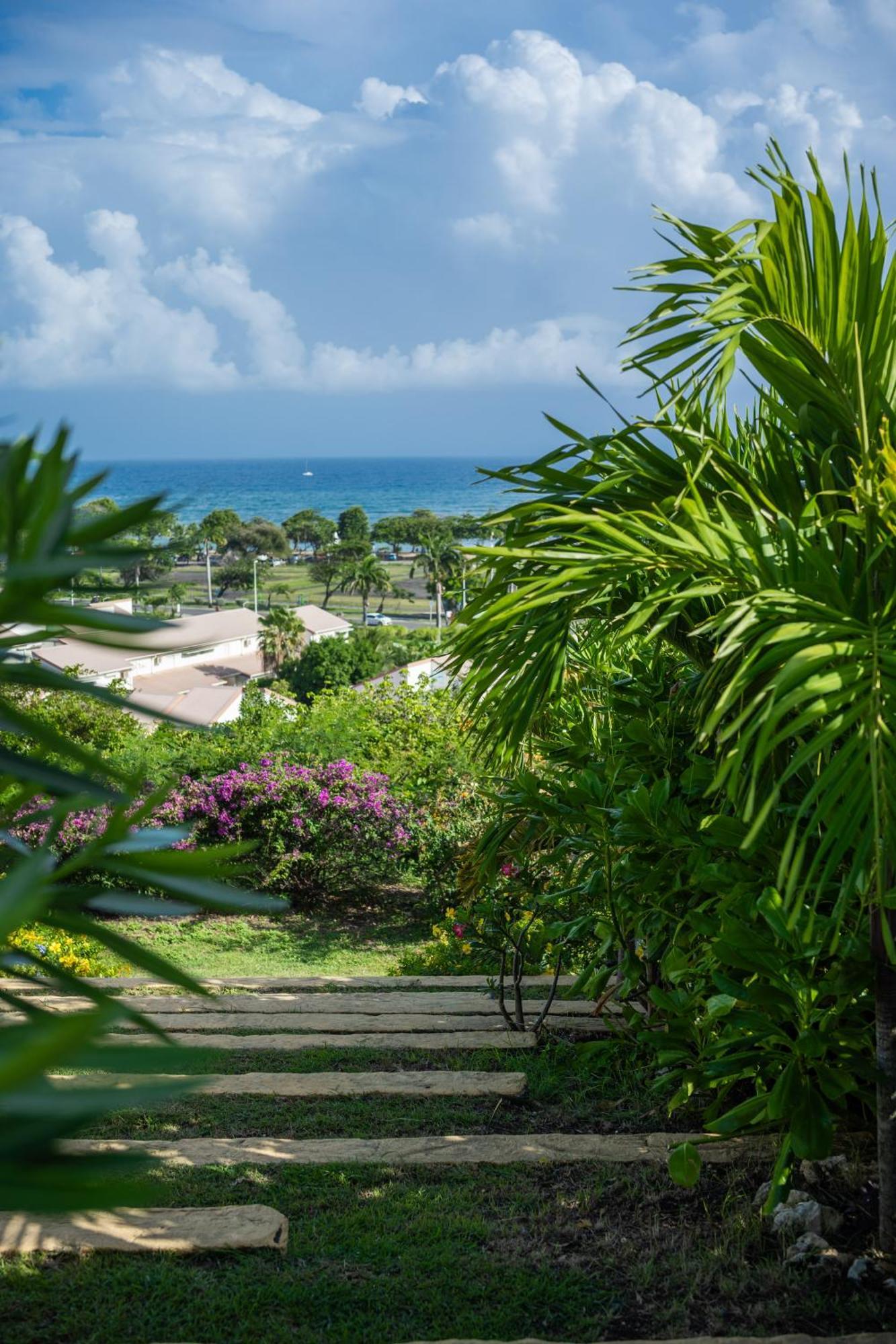 Residence Les Raisins Clairs - Villas Standing 4 Etoiles , Vue Sur Mer Panoramique & Piscine A Debordement Saint-Francois  Exterior foto